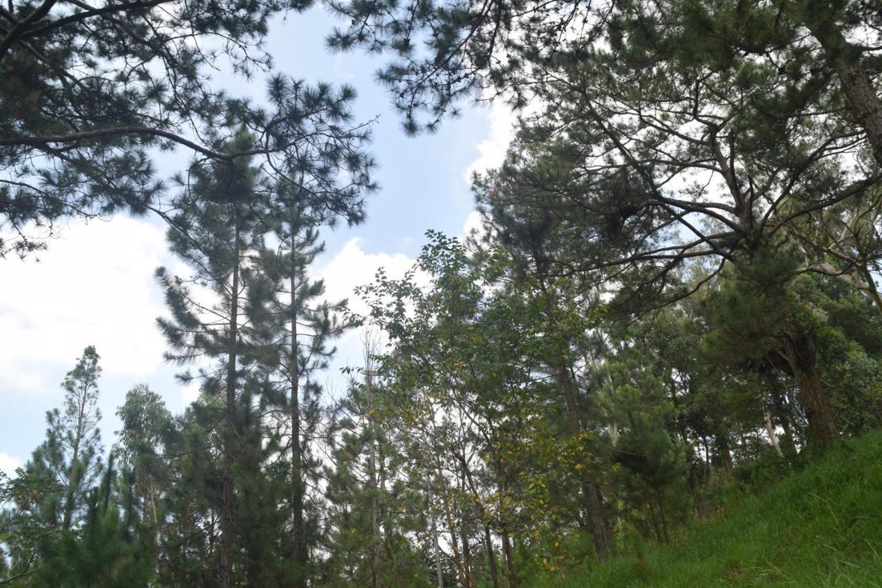 Hotel Pham Duy Da Lat Kültér fotó